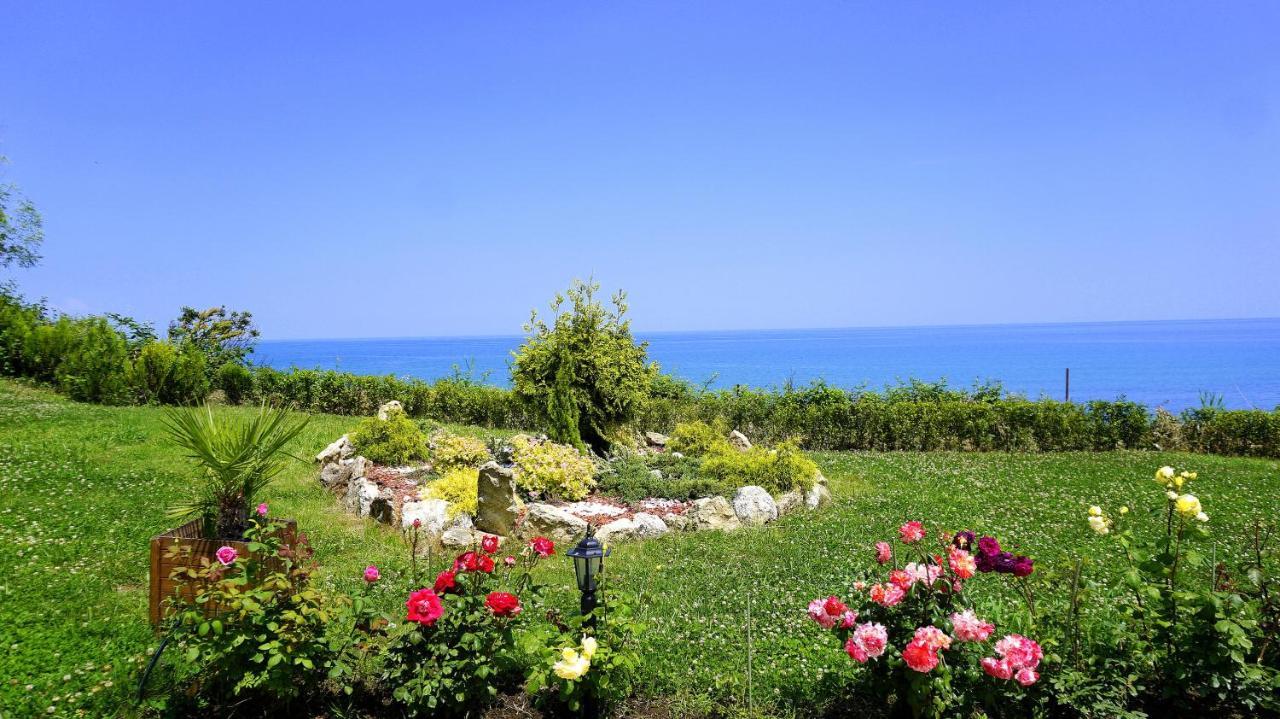 Бяла Клиф Форест - Byala Cliff Forest المظهر الخارجي الصورة